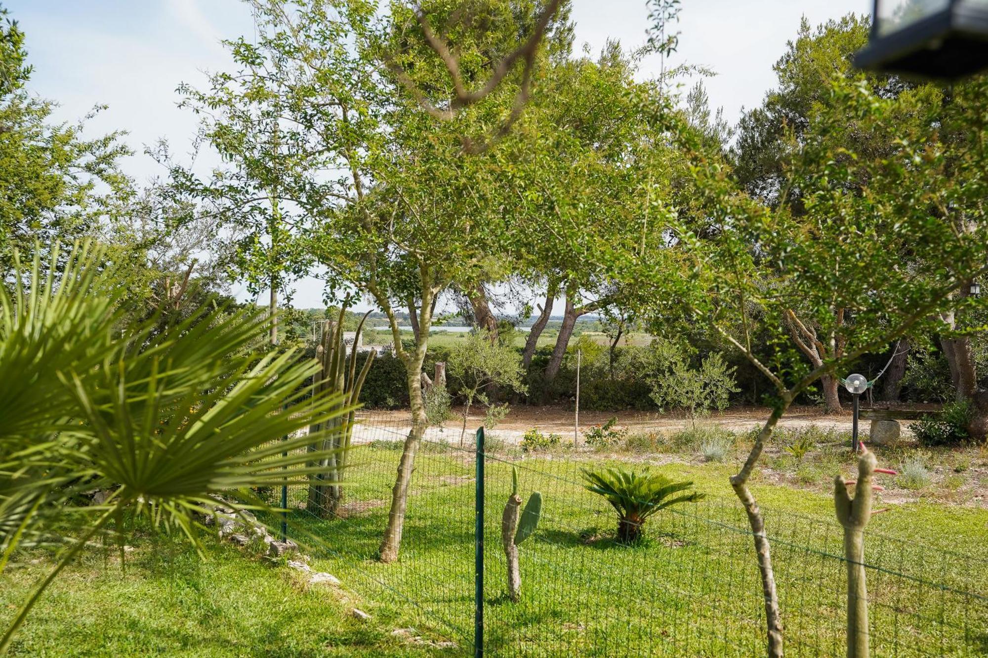 Casa Vacanza Russo Fernando Alimini Εξωτερικό φωτογραφία