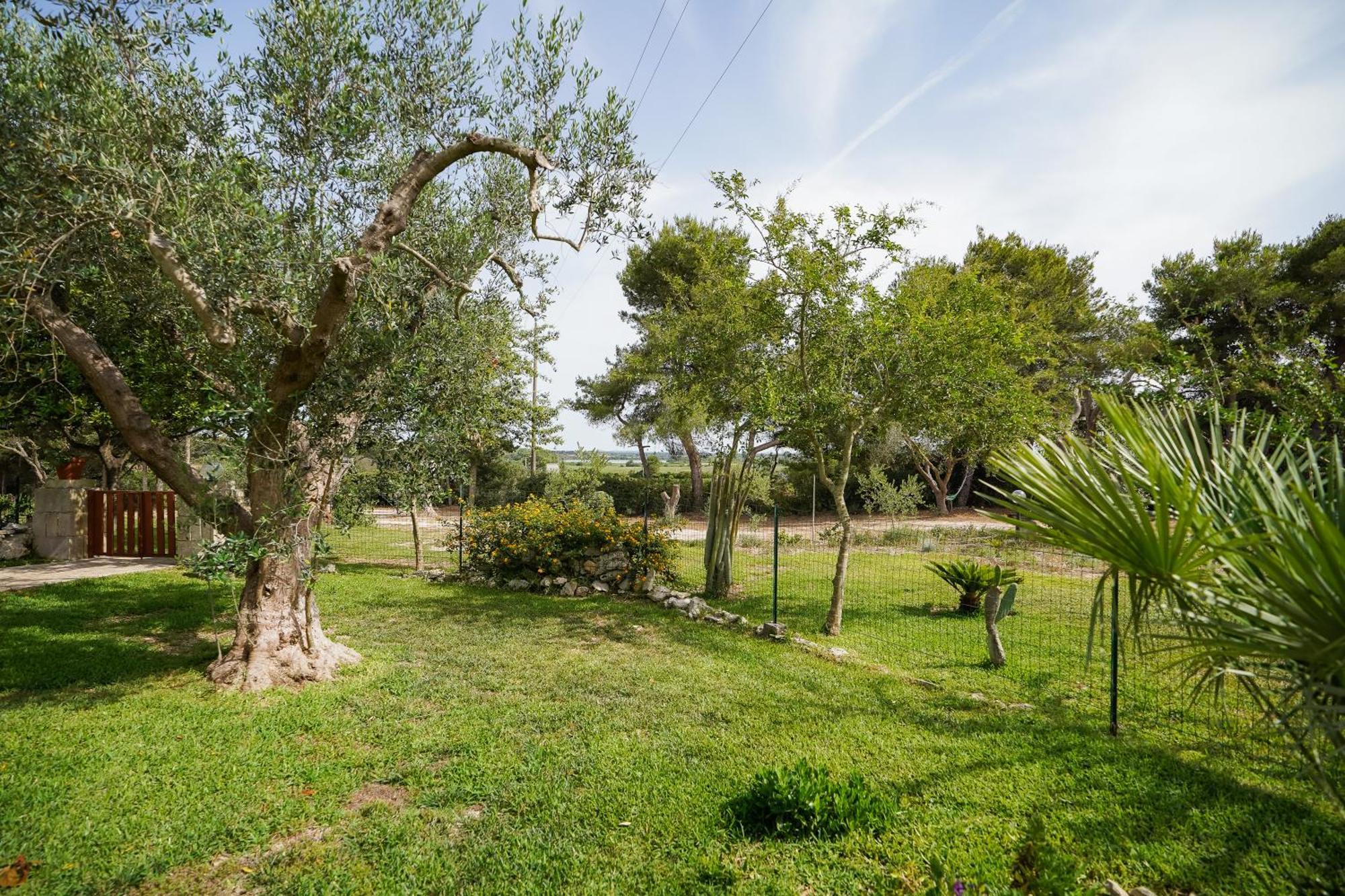 Casa Vacanza Russo Fernando Alimini Εξωτερικό φωτογραφία